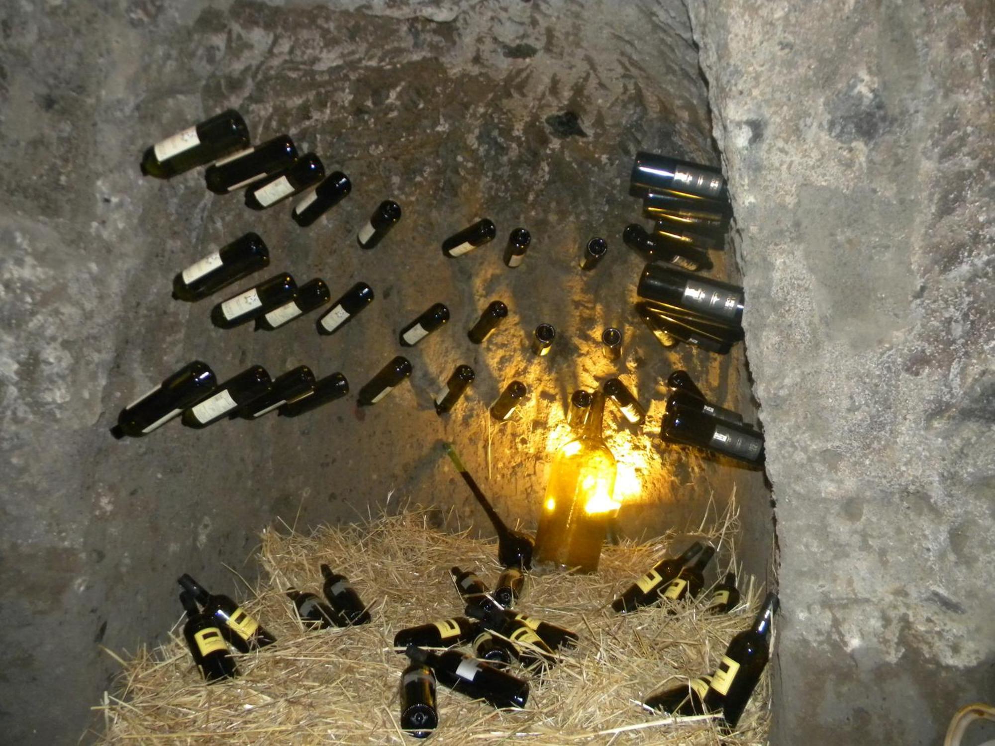 Agriturismo La Colombaia Capua Eksteriør billede