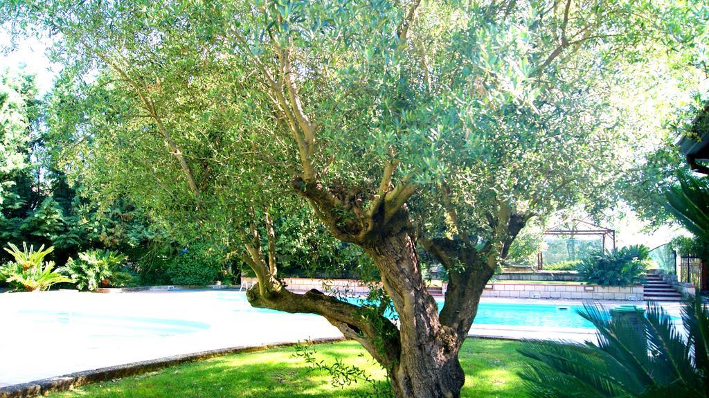 Agriturismo La Colombaia Capua Eksteriør billede